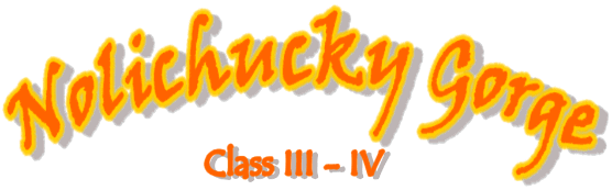 Nolichucky Gorge, Class III-IV