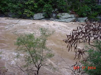 - Nolichucky Gorge, TN