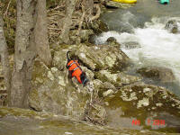 Henry explores the river banks