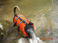 Henry cools off