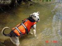 Henry cools off