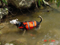 Henry cools off