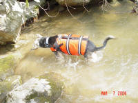 Henry cools off