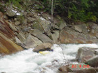 Rick - Wilson Creek, NC