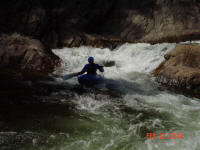 Beau's Redemption - Razorback - Wilson Creek, NC